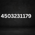 4503231179